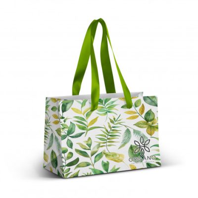 Small Ribbon Handle Paper Bag - Full Colour (TUA127177)