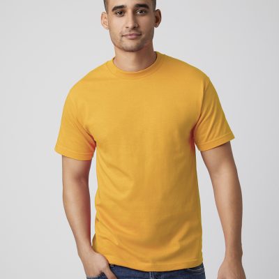 American Apparel 1301 (Alstyle) Adult T-Shirt (PREM1301)
