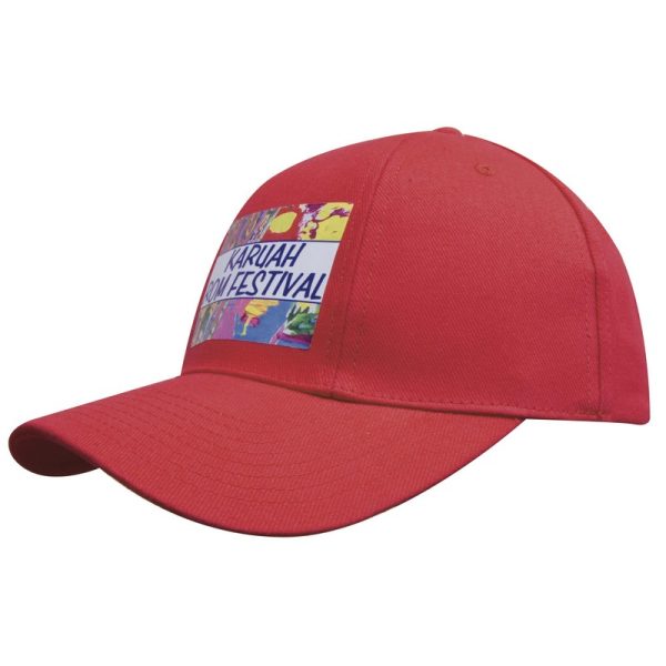 Brushed Heavy Cotton Pro-Rotated Cap (HEAD4054)