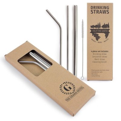 4 Piece Stainless Steel Straw Set (MAXUMMAXCA2007)