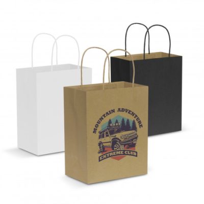Paper Carry Bag - Medium (TUA107586)