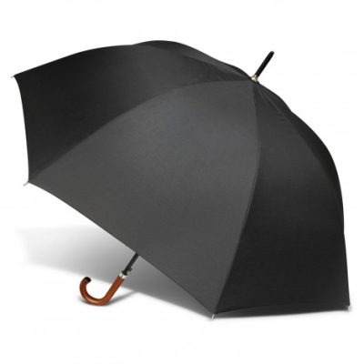 Executive Umbrella (TUA202702)