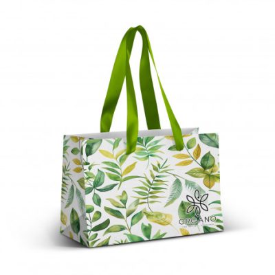 Small Ribbon Handle Paper Bag – Full Colour (TUA127177)