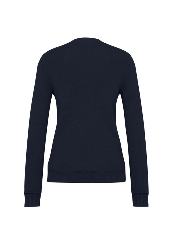 Womens V-Neck Knit Pullover (FBIZLP3506)